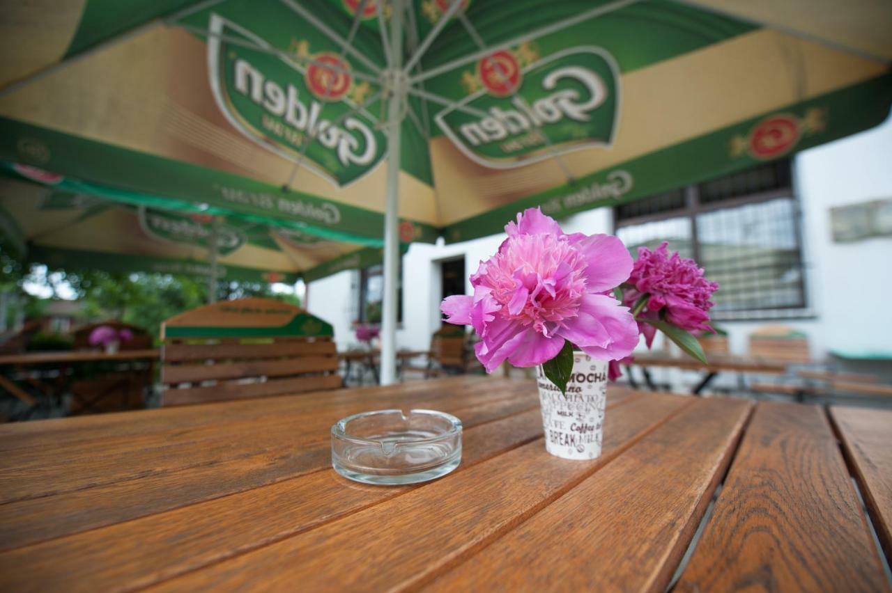 Pension Florica Piteşti Dış mekan fotoğraf