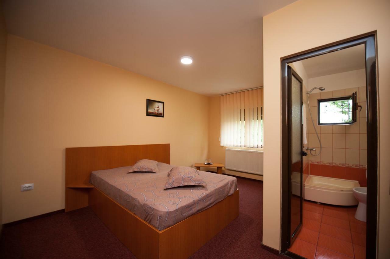 Pension Florica Piteşti Dış mekan fotoğraf